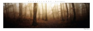 poster panoramique Brocéliande - la forêt - vue 2 - 20X60