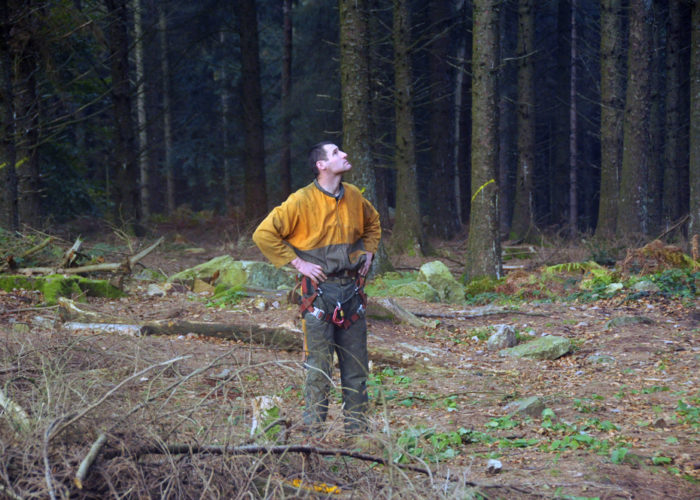 Observation de la réaction des arbres pendant la mise en tension effectuée par le tracteur
