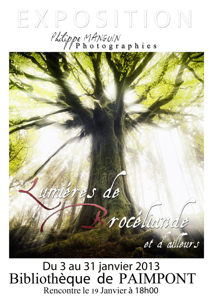 lumieres de broceliande