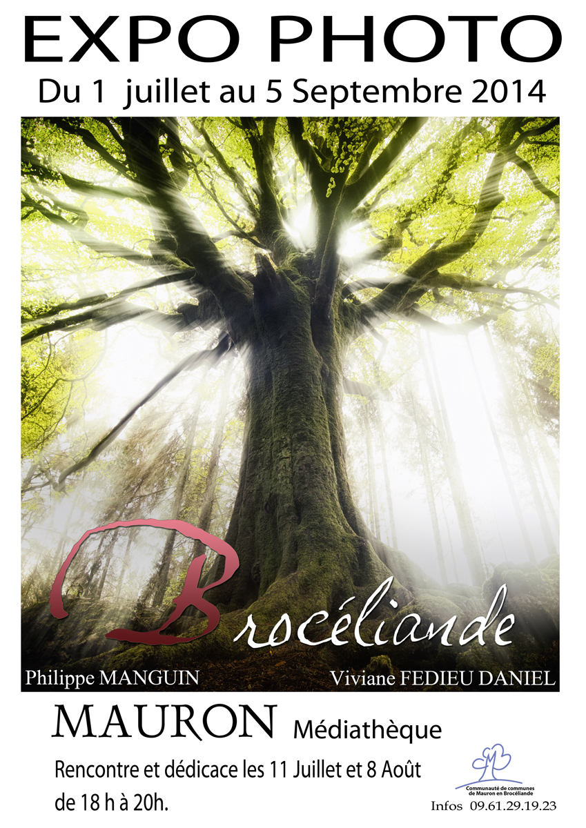 expo a mauron lumieres de broceliande